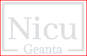 Nicu Geanta Nicolae Ben Hur